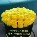 행복한 날 이미지