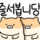 대돈단결 이미지