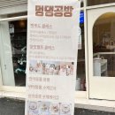 멍댕공방 | 광주애견수제간식_ 멍댕공방 :: 다양한 수제간식/클래스 운영 방문후기