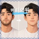 메티의원