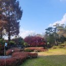 금산만악리수목원 오토캠핑장 이미지