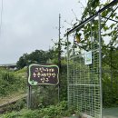 용당어린이집 | 내가 제일 좋아하는 가을 일상 시원해진 날씨 최고