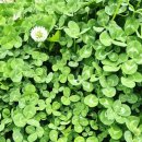 하가리사무소 이미지