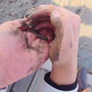 88목욕탕 | 무안 황토 갯벌 랜드. 무안 가족 여행지 추천