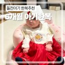 5개월 6개월 아기 한복 추천 포크칩스 M 상세후기 돌전아기 추석 설빔