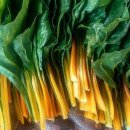 준혁농장 이미지