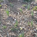 용우농장 이미지