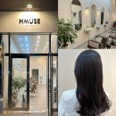 에이치뮤즈(HMUSE)