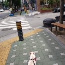 래온동물병원 이미지