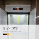 송파미소약국 | 송파구 신천동 파크리오아파트 승강기보양 후기