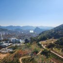 에이스부동산중개사무소 이미지