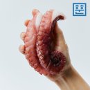 문어랑 쇼핑하우