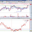 (주)바이넥스 이미지