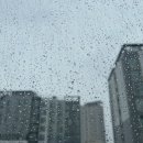 덕일환경산업