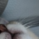 남양엘약국 이미지