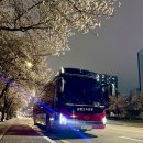 2,026년,6월7일(일) 비발디 파크정상 10분간 곤도라타고 올라가서 파크골프 라운딩~ 2대차량 68인 좌석배치 및 조별편성 ~ 이미지