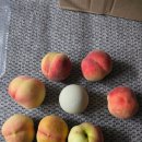 이계북로2R-7 | 7.8 일기)맛있는 소고기 냠냠 + 복숭아 쇼핑