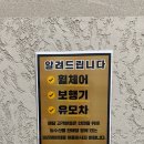 파주 임진각 평화곤돌라 후기｜DMZ·캠프그리브스까지 아이와 가볼 만한 곳