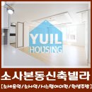 구.복사초 이미지