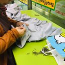 화명초등학교 네이버블로그
