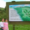 선영목장 Daum카페