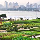 한강 산책 이미지