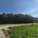 조은날부동산공인중개사사무소 이미지