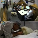 피움동물병원