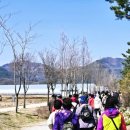 [제천] 삼한의 초록길, 어르신들과 함께한 '한마음 치매극복 걷기 행사' 후기