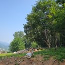 금희농장 이미지