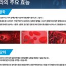 메타팜약국 이미지