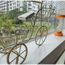 헤어도도 이미지