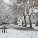 화랑체육공원 운동시설 이미지