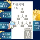 콜세탁 이미지