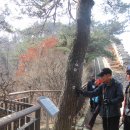 인왕유치원 | 대열 산호회 산행: 낙산-백악-인왕 한양도성&lt;2013.03.15&gt;