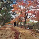 척산농장 이미지