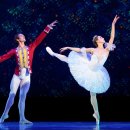 Tchaikovsky / 호두까기 인형 Pas de deux by Elisabeth Tonev &amp; Jakob Feyferli 이미지