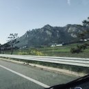 오수태양광발전소 이미지