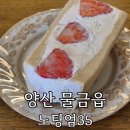 바닐라PC | 양산 물금 신상 카페 '노팅엄35' 재방문 후기 스콘 산도 디저트 맛집