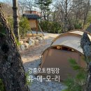 스마트오토 전문점 | 강릉 오토캠핑장 추천 유메모리 히노끼 사우나 겨울 캠핑 가족 숙소
