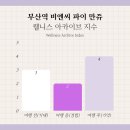 만쥬하나 | 부산역 비엔씨 파이 만쥬 내돈내산 후기