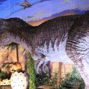 고성자연사박물관 이미지