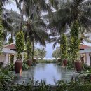 Cat garden | 나트랑 태교여행３ㅣ시내 → 깜란 이동 (더아남 체크인)