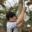 용설호수 편의점 이미지