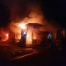 세종사료 이미지