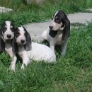 드 라 시앙 이미지