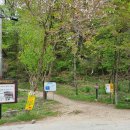 금산사길 이미지