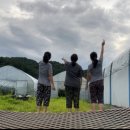 수민 일농장 이미지