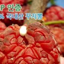 콜마르브레드 - 유성구 죽동로297번길 12 | 콜마르브레드