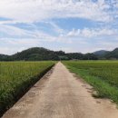 복산2구마을회관 이미지